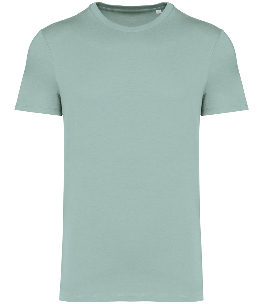 Native Spirit Unisex Heavyweight T-Shirt